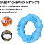 Benepaw Strong Rubber Chew Toy For Dogs Teeth Cleaning Nontoxic Indestructible - Image 2