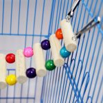 Pets Parrots Ladders Climbing Toy Bird Toys Birds Exercise Climbing - Image 4