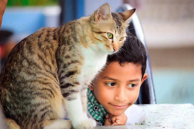 Benefits for children of adopting a cat