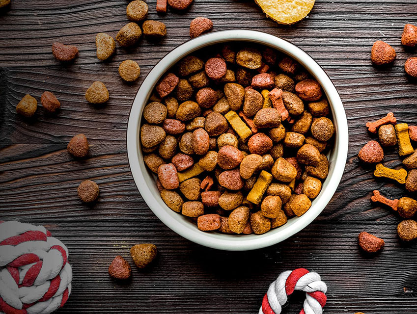 Unveiling the Essence: Key Ingredients in the Pet Food Industry