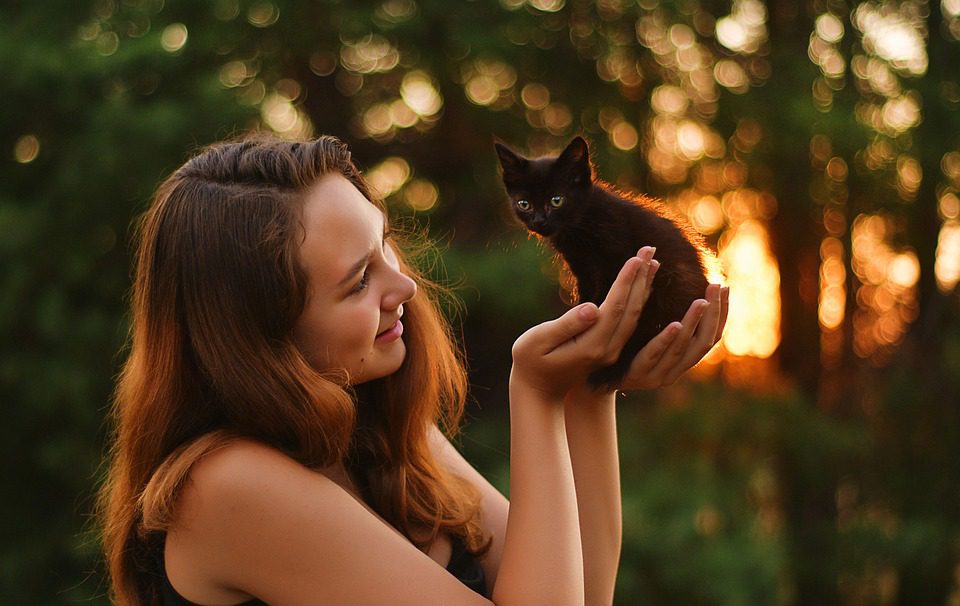 The Ultimate Guide to Choosing the Right Pet for Your Lifestyle