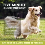 Dog Lure Course Machine Interactive Chasing Toy Dog Training Agility Equipment - Image 4