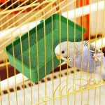 Small Bird Bathtub Room Feeder - Image 4