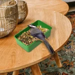 Small Bird Bathtub Room Feeder - Image 5