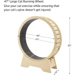 47 inch large wheel cat exerciser for longer life, - Image 3