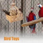 Bird Toys, with Storage Basket, Ball Toys, Branches for Parrots, Parakeets - Image 3