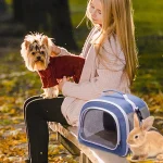 Breathable Carrier for Small Animal