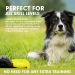 Dog Lure Course Machine Interactive Chasing Toy Dog Training Agility Equipment - Image 2